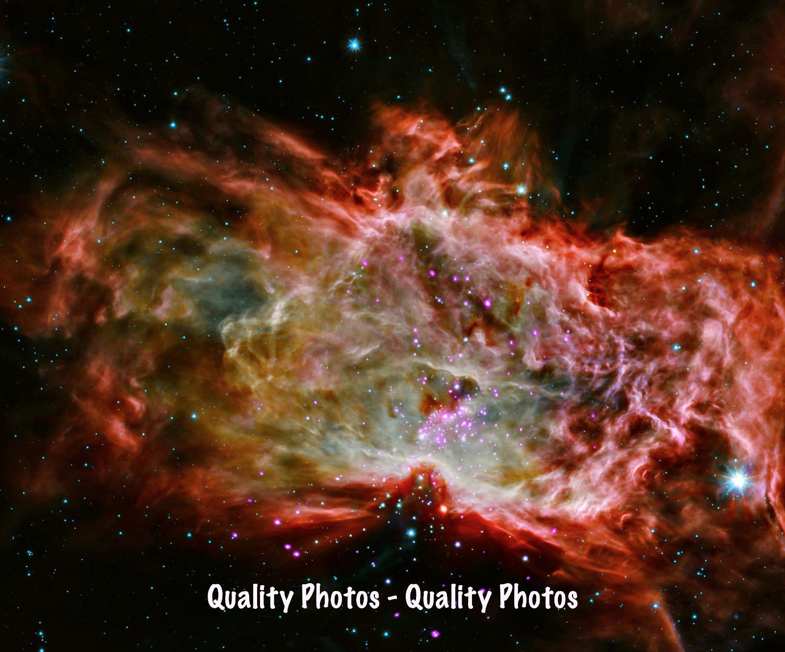 Amazon.com: Stars Born 8.5x11